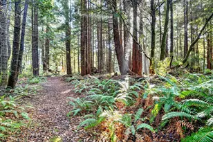 19400 Dorffi Rd, Fort Bragg, CA 95437 - Photo 41