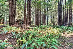 19400 Dorffi Rd, Fort Bragg, CA 95437 - Photo 39