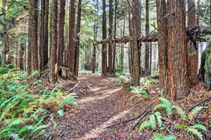 19400 Dorffi Rd, Fort Bragg, CA 95437 - Photo 37