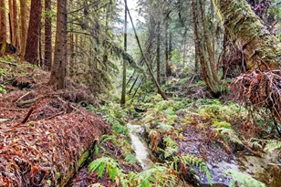 19400 Dorffi Rd, Fort Bragg, CA 95437 - Photo 3