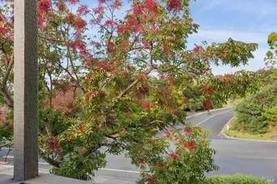 900 Southampton Road #2, Benicia, CA 94510 - Photo 29