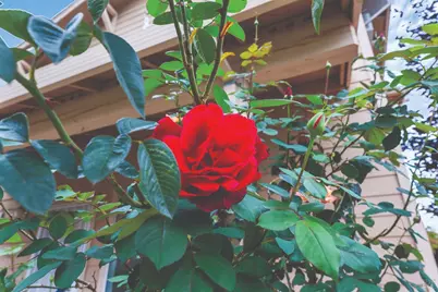 12 Alana Way, Cloverdale, CA 95425 - Photo 27