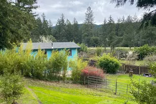 65401 Hwy 271, Leggett, CA 95585 - Photo 53