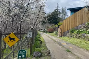 65401 Hwy 271, Leggett, CA 95585 - Photo 49