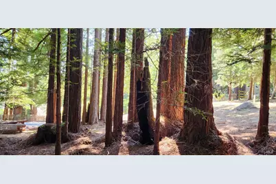 46785 Ocean View Drive, Gualala, CA 95445 - Photo 7