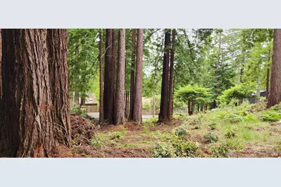 46785 Ocean View Drive, Gualala, CA 95445 - Photo 13