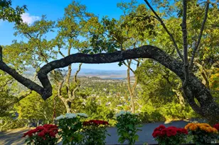 395 Ridge Rd, Novato, CA 94947 - Photo 41