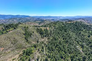 19155 Scenic Dr, Redwood Valley, CA 95470 - Photo 81