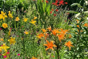 19155 Scenic Dr, Redwood Valley, CA 95470 - Photo 63