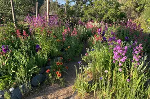 19155 Scenic Dr, Redwood Valley, CA 95470 - Photo 61