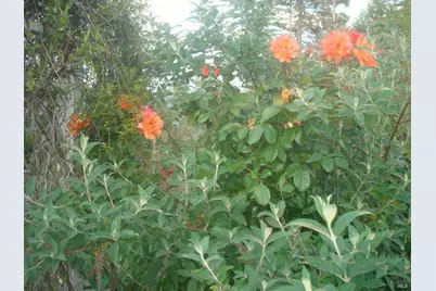 19155 Scenic Drive, Redwood Valley, CA 95470 - Photo 73