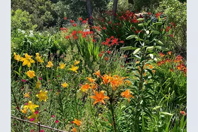 19155 Scenic Drive, Redwood Valley, CA 95470 - Photo 67