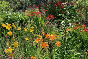 19155 Scenic Dr, Redwood Valley, CA 95470 - Photo 67