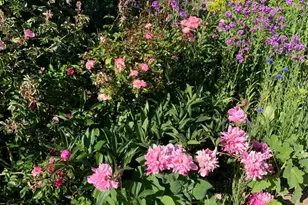 19155 Scenic Dr, Redwood Valley, CA 95470 - Photo 71