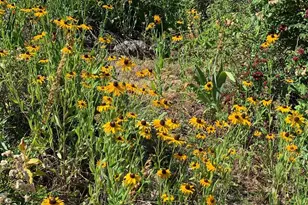 19155 Scenic Dr, Redwood Valley, CA 95470 - Photo 69