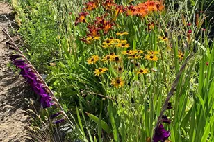 19155 Scenic Dr, Redwood Valley, CA 95470 - Photo 65