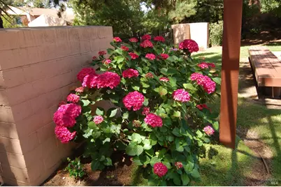 1118 Marina Drive, Napa, CA 94559 - Photo 43