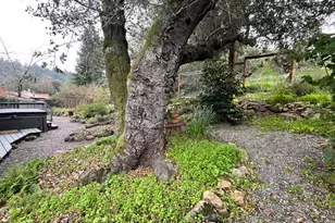 3540 Sleepy Hollow Dr, Santa Rosa, CA 95404 - Photo 31