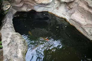 504 Palms Dr, Martinez, CA 94553 - Photo 31