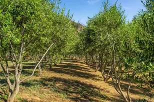 5400 Wragg Canyon Rd, Napa, CA 94558 - Photo 51