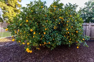 401 Shoveller Dr, Suisun City, CA 94585 - Photo 45