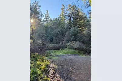 136 Lagunitas Road, Lagunitas, CA 94938 - Photo 3