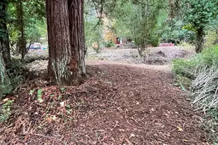 136 Lagunitas Rd, Lagunitas, CA 94938 - Photo 1