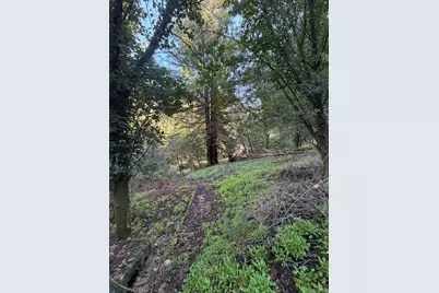 136 Lagunitas Road, Lagunitas, CA 94938 - Photo 5