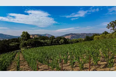 40 Long Ranch Road, Saint Helena, CA 94574 - Photo 49