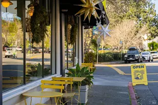 47 Redwood Dr, Ross, CA 94957 - Photo 39