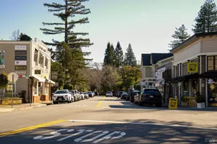 47 Redwood Dr, Ross, CA 94957 - Photo 37