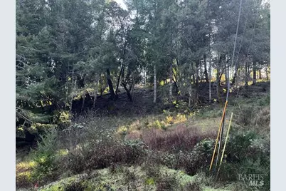 24583 Cypress Drive, Willits, CA 95490 - Photo 3