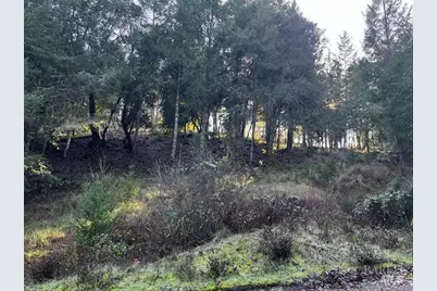 24583 Cypress Drive, Willits, CA 95490 - Photo 1