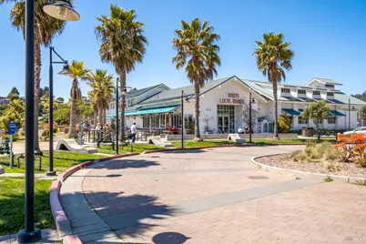 46 McNear Drive, San Rafael, CA 94901 - Photo 47