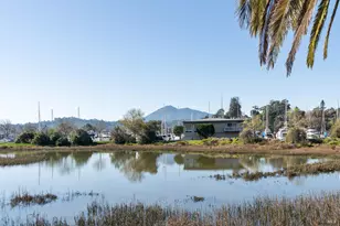 44 Summit Ave, San Rafael, CA 94901 - Photo 61