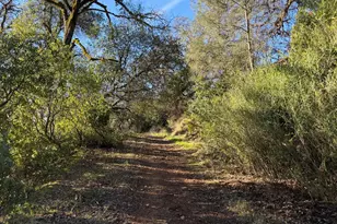 3315 Filmore St, Nice, CA 95464 - Photo 1