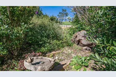 20 Carob Way, Novato, CA 94945 - Photo 39