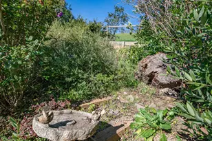 20 Carob Way, Novato, CA 94945 - Photo 39