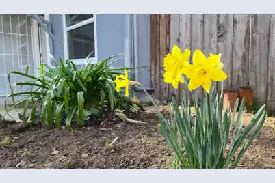 730 Lewis Road, Santa Rosa, CA 95404 - Photo 91