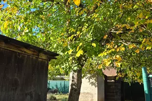 454 Della Ave, Willits, CA 95490 - Photo 23