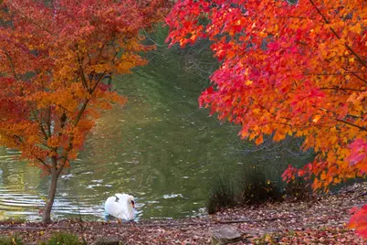 18730 Canyon Road, Sonoma, CA 95476 - Photo 27