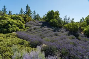 2947 Cavedale Rd, Glen Ellen, CA 95442 - Photo 33