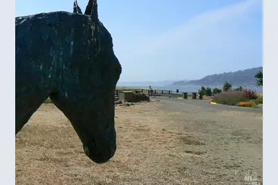 45 Harbor Oak Drive #22, Tiburon, CA 94920 - Photo 57