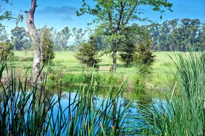 21000 8th Street, Sonoma, CA 95476 - Photo 7