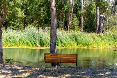 20780 8th Street, Sonoma, CA 95476 - Photo 7