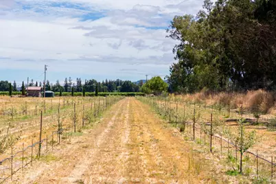 20780 8th Street, Sonoma, CA 95476 - Photo 31