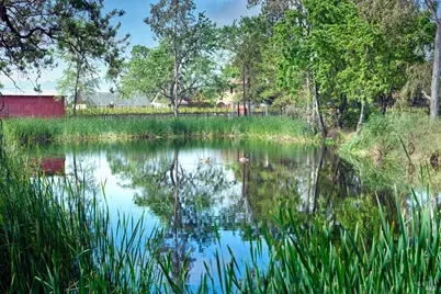 21000 8th Street, Sonoma, CA 95476 - Photo 85