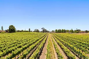 5505 Bravo Toro Ln, Santa Rosa, CA 95401 - Photo 19