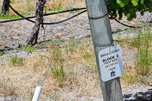 5505 Bravo Toro Ln, Santa Rosa, CA 95401 - Photo 23