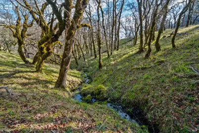 5400 Orr Springs Road, Ukiah, CA 95482 - Photo 13